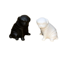 Black white pug for sale  Prineville