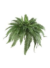Boston fern artificial for sale  Hialeah