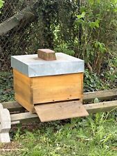 Bienenvolk 12er dadant gebraucht kaufen  Hünfelden