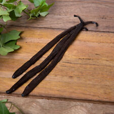 2023 | Gourmet Madagascar Bourbon Vanilla Pods Beans | Qualidade Premium comprar usado  Enviando para Brazil