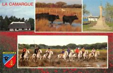 Camargue chevaux gardians d'occasion  Rioz