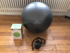 Gymnastikball grau 65cm gebraucht kaufen  Wiesbaden