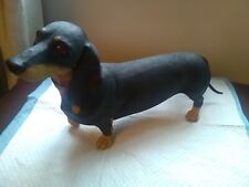 dachshunds for sale  HUNGERFORD