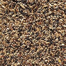 British finch seed for sale  PETERSFIELD
