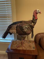 Standing turkey taxidermy for sale  Warner Robins