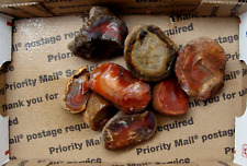 Ounces broken agate for sale  Green Bay