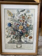 framed botanical prints for sale  FORDINGBRIDGE