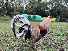 poultry brooder thermo for sale  Loxahatchee