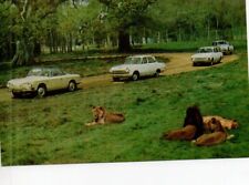 Vintage postcard lions for sale  MATLOCK