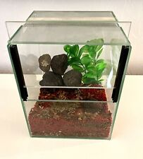 Glas terrarium 20x20x25 gebraucht kaufen  Zwickau-, Rottmansdorf