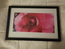 Framed pink flower for sale  Portsmouth