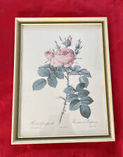 Botanical framed print for sale  HINCKLEY