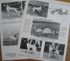 Pointer breed kennel for sale  HOLYWELL