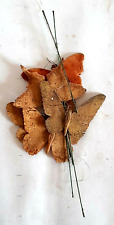 Farfalle decorative usato  Lercara Friddi