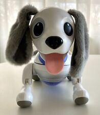 Zoomer playful pup for sale  Nashville