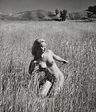 Andre dienes nude for sale  San Diego