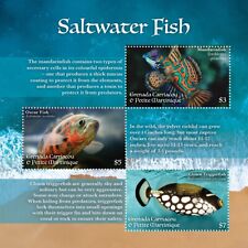 Saltwater fish sea for sale  PONTYPRIDD