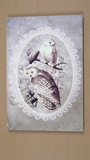 Snowy owls canvas for sale  San Antonio
