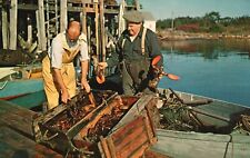 Postcard ME Live Maine Lobsters Coming to the Dock Posted 1968 Vintage PC H2172 for sale  Shipping to South Africa