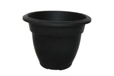 Plant large bell for sale  SLOUGH