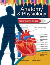 Anatomy physiology coloring for sale  Shipping to Ireland
