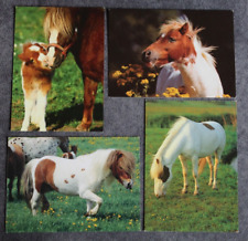 Postkarten shetland pony gebraucht kaufen  Limburg