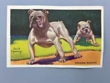 1950s english bulldog for sale  Minneapolis