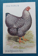 Prize poultry silver for sale  WALSALL