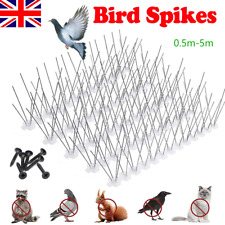 0.5 bird pigeon for sale  UK