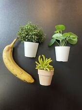 Fake plants packs for sale  Denver