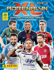 2018 2019 panini d'occasion  Expédié en Belgium