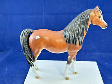 horse paint mare for sale  Tucson