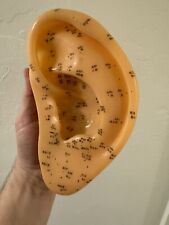 Acupuncture plastic ear for sale  Edmond