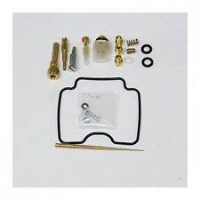 Carburetor repair kit for sale  Ireland