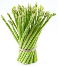Mary washington asparagus for sale  USA