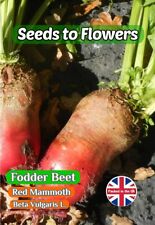 Fodder beet red for sale  STOKE-ON-TRENT
