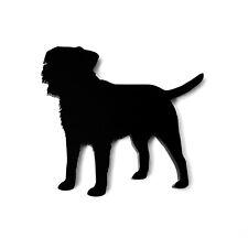 Border terrier dog for sale  ANNAN