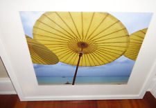 Framed photograph art for sale  Madison