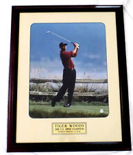 Tiger woods 2000 for sale  USA
