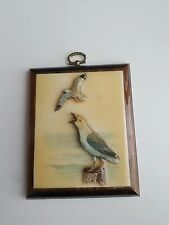 Vintage aged seagull for sale  Tecumseh