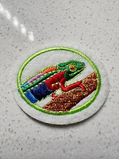 pathfinder patch for sale  Waterford