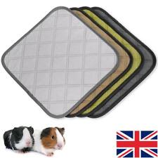 Pack guinea pig for sale  UK