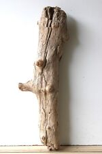 holzstamm gebraucht kaufen  Halblech