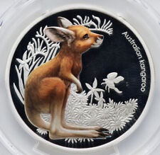 2010 australia kangaroo for sale  Lawton