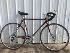 Vintage raleigh super for sale  Knoxville