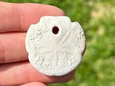 Florida fossil echinoid for sale  Coppell