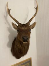 Sikha stag deer for sale  WIGAN
