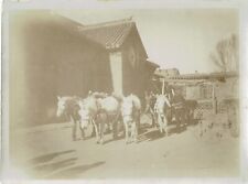 Chine circa 1900 d'occasion  Saint-André-de-Cubzac