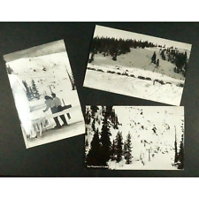Rppc postcards berthoud for sale  Lincoln