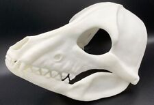 Skulldog Fursuit Base-Canine Skull-Cheap-Bought but Never Used-(NEED GONE) for sale  Shipping to South Africa